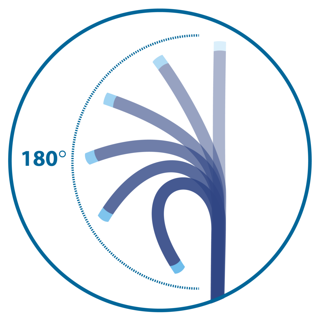 passport-steerable-sheath-cannulate-contralateral-access-renal